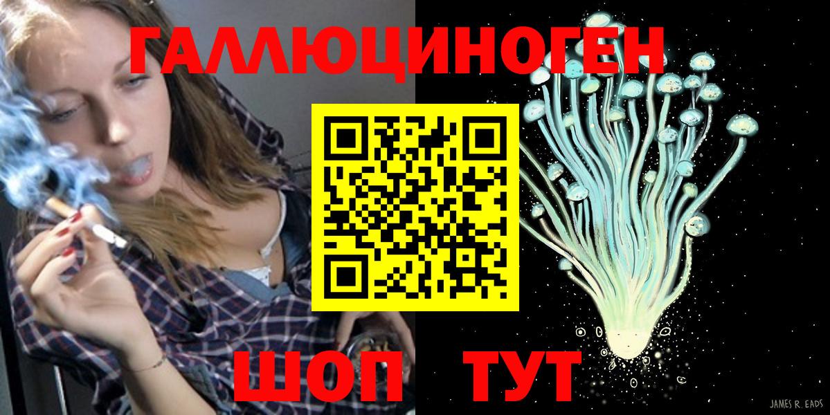где купить наркотик  Вход с VPN  Шатура  Галлюциногенные грибы Psilocybine cubensis  Псилоцибиновые грибы прущие грибы 